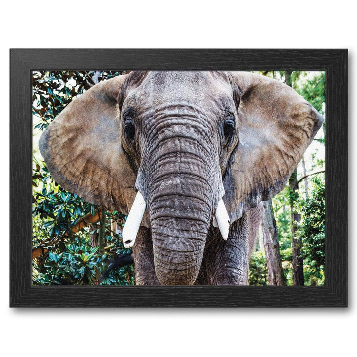 African Elephant -  Lap Tray With Cushion