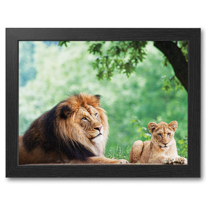 African Lion & Cub -  Lap Tray With Cushion