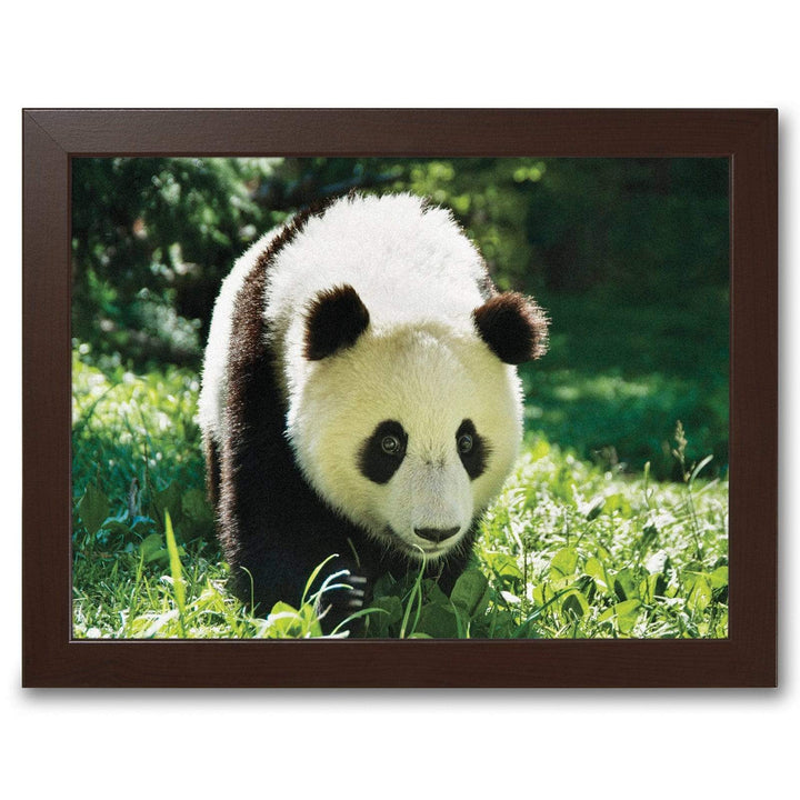 Giant Panda -  Lap Tray With Cushion