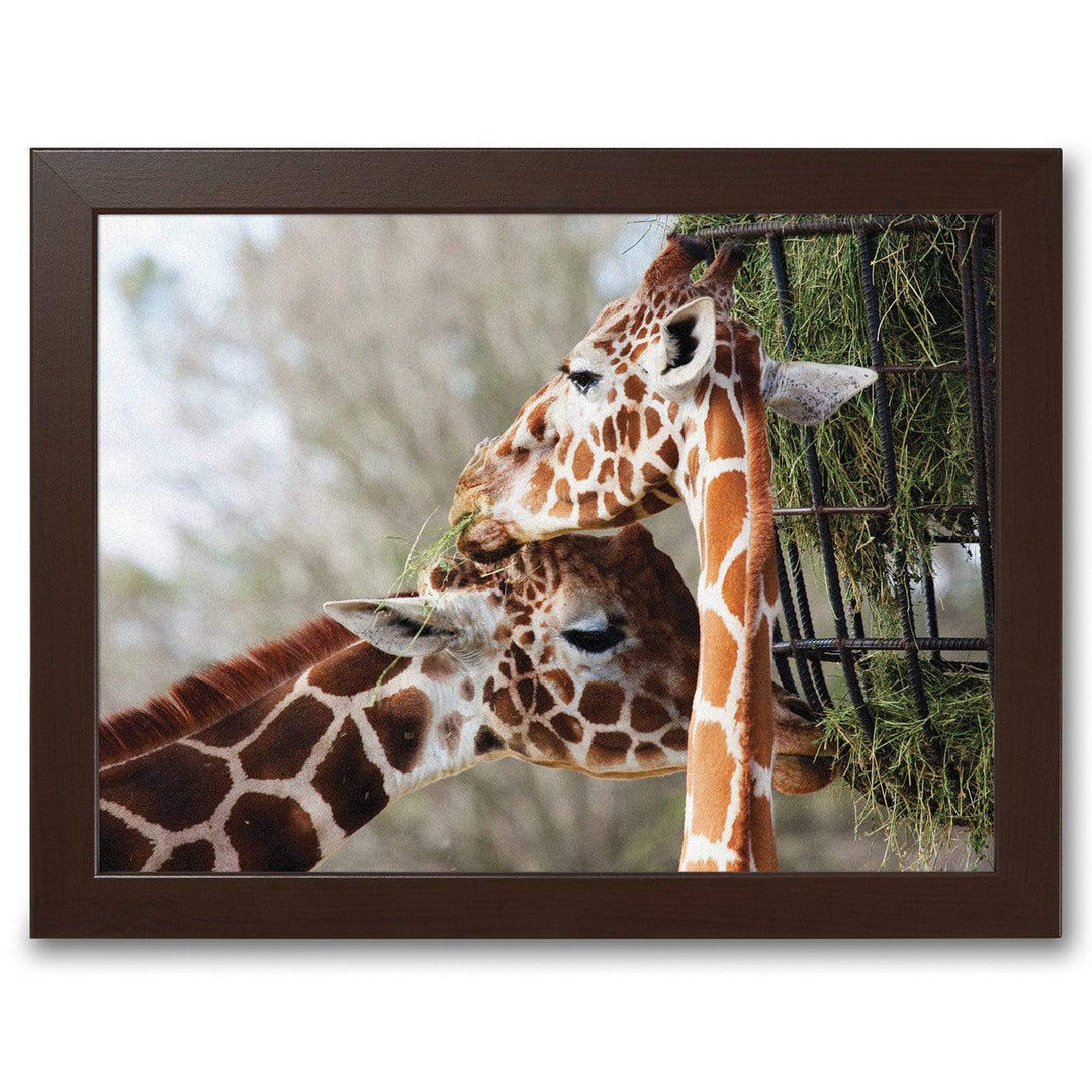 Giraffes Eating -  Lap Tray With Cushion