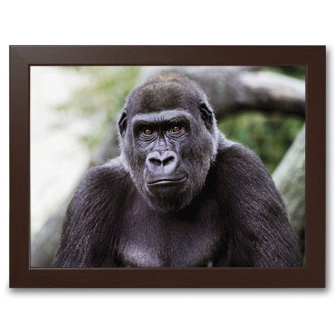 Lowland Gorilla -  Lap Tray With Cushion