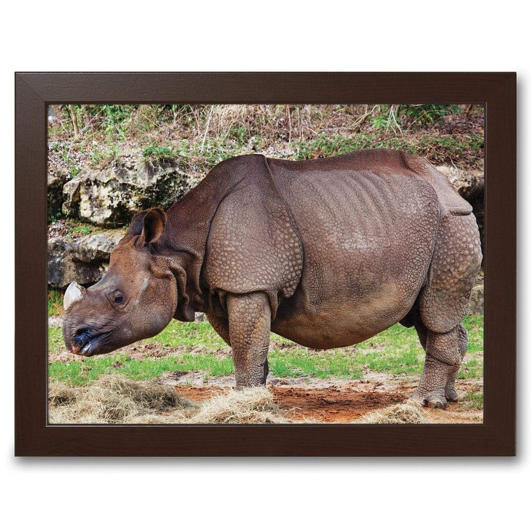 Rhinoceros -  Lap Tray With Cushion