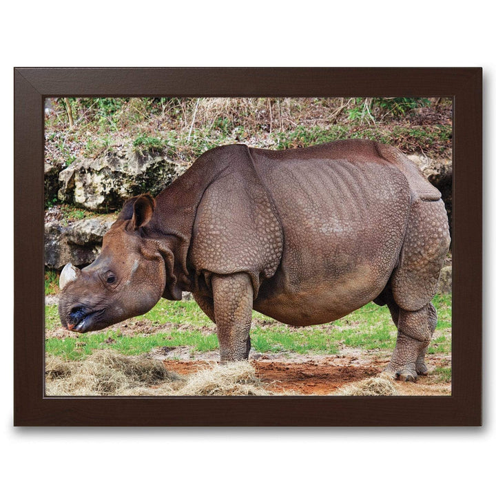 Rhinoceros -  Lap Tray With Cushion
